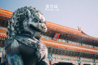 故宫的仪式：太和殿的朝贺