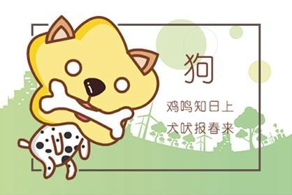 属狗人2026年情感运势详解具体包括哪些方面？