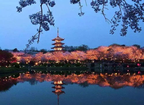 大通禅寺与秋月禅关：历史禅意，  唐代的修行地