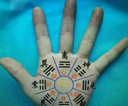 八字地支一字诀中，地支作用关系先后顺序究竟蕴含着怎样的神秘原理？