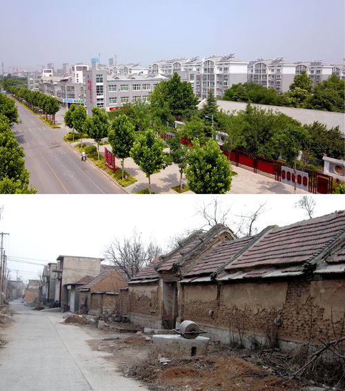 购物？不如说是智商税