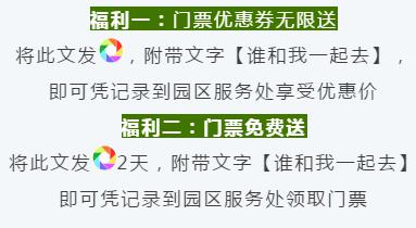 惯与学生优惠：50元？真的假的？