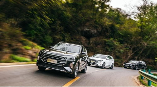 买车送旅游？这是什么神仙操作！