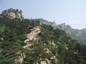 二、泰山：登顶还是下坡？——两天狂奔指南