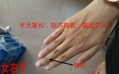 那条细细的“家风纹”究竟藏着多少雷区？