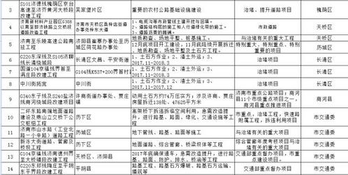 四、 定制化建议与情绪爆炸区（混杂无序）