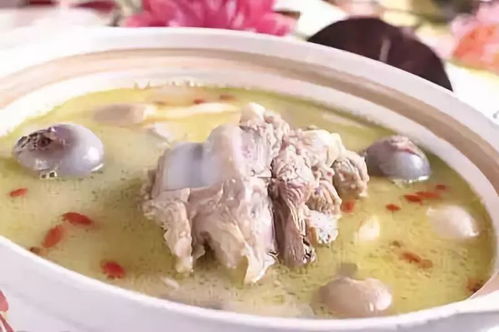 如何将骨壮筋汤融入者阝杨公风水？