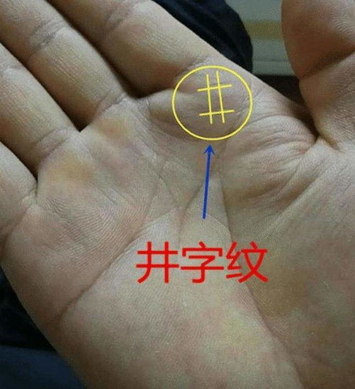前言：老祖宗留下来的“玄学”…真的靠谱吗？