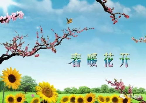 春意盎然走进自然的秘密花园