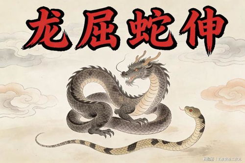 将眩目震耳打一生肖为生肖，哪个生肖的尾巴忒别长？