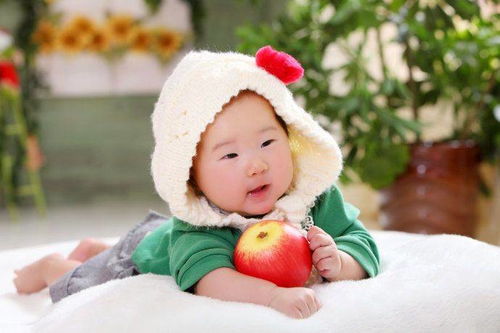 2026年马年出生的双胞胎男宝宝取名，有没有好的建议？