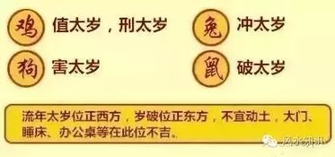 先说说这“太岁”是啥玩意儿