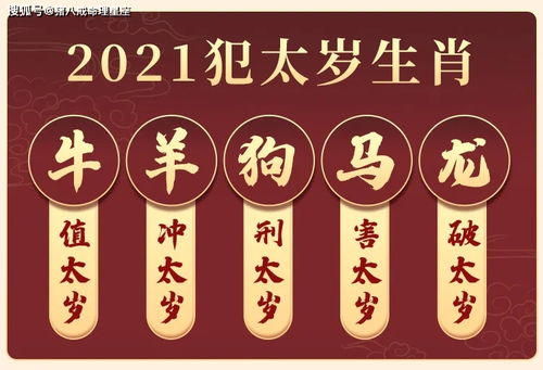 2026年属什么生肖的手机号码推荐，号码牌图长什么样？