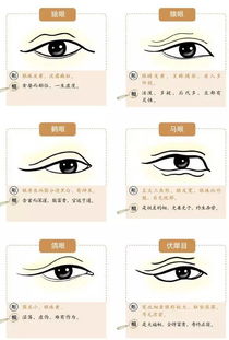 面相绝招：揭秘你不知道的面相秘密