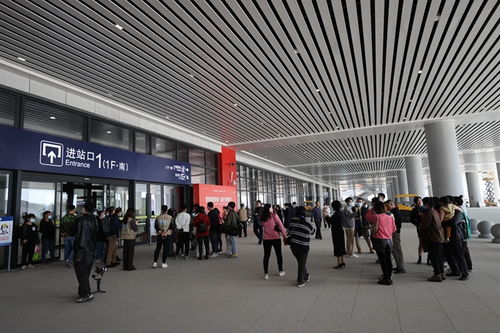 四、 购票攻略：手慢无，心要诚