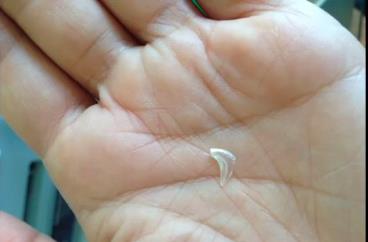 震惊！2026年春节剪指甲竟会招来血光之灾？看完第三条我哭了