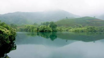 双柏峰：云雾缭绕的山峰
