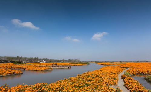 2) 黄昏：金色渲染全景