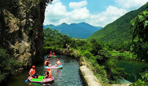 奢侈品迷宫的奇幻漂流