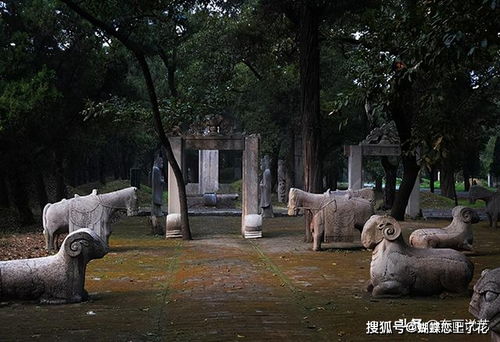 “内蒙古蛇盘兔打墓习俗揭秘，独特风俗一探究竟”