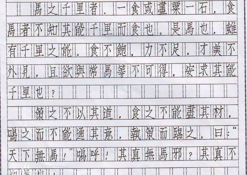罗姓娃:求求你们别再把