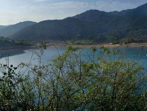 翡翠岛：荒野求生体验营