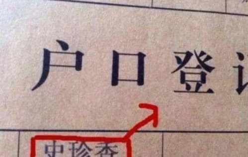 刘姓宝宝取名：笔画魔法与名字奇缘