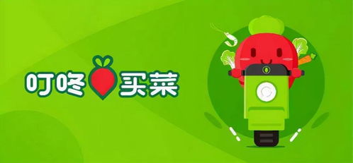 叮咚买菜：创崭新基因下的迅速崛起