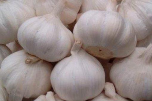 大蒜的吉祥寓意,大蒜的吉祥寓意