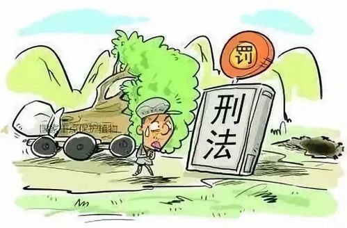 2026年2月有哪些吉日适合砍伐大树？