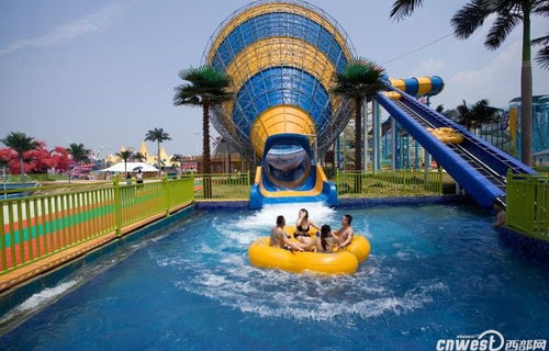 迪比斯：人挤人的