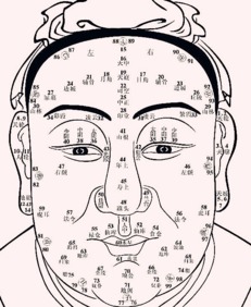 额头：智慧与财富的基础
