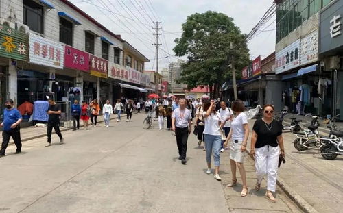 百芳名字的含义和寓意是什么？