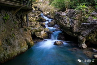 五一劳动节的疯狂前奏：为什么要去黄花溪受罪？