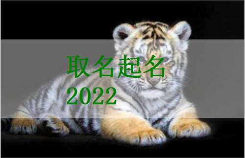 一、虎宝宝的命名艺术