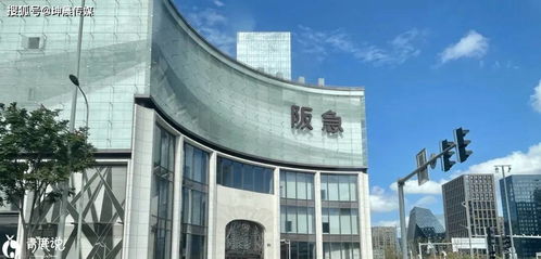 揭开神秘面纱， 探寻三明沙县的宝藏