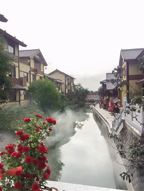 深度体验古韵新风貌—那些不可思议的小细节