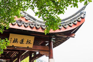 一、 别说我没提醒你，杭州的“小众”其实是“超隐蔽”