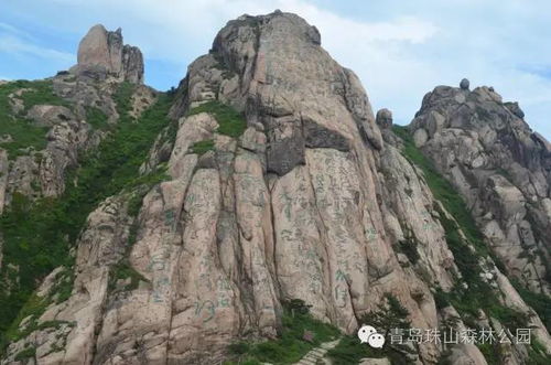 较小珠山景区特色：啥有意思？