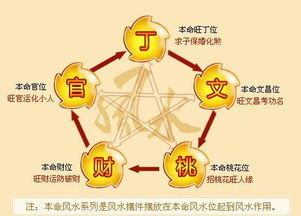 八字中火为财星，如何选择职业或投资方向最合适？