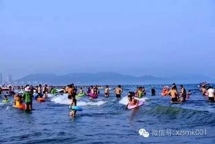 巨大连：“伪制造风”下的真实海鲜狂欢，  夏家河子的沙子比星海广场更“巨大连”
