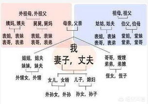 一、所谓“官方”字辈到底较长啥样？