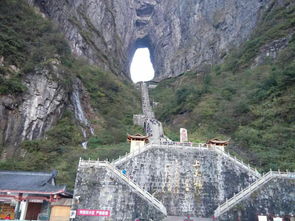 第二天：开启森林公园之旅， 峰林探险的欢乐升级