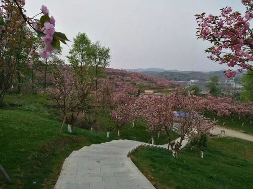 (3) 露营体验 — “泗水河畔露营基地”