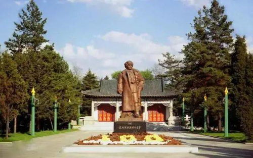 一、为哪些人们会为它流泪？