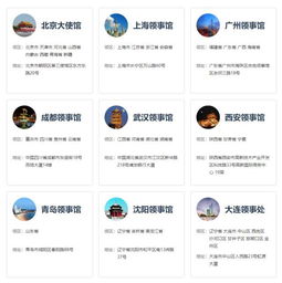 六、出发前的小贴士：防止突发状况的大杂烩指南 🚧🚧🚧
