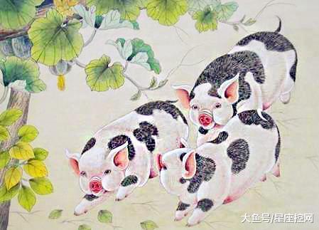 福气满满双生肖，家中财气聚集，事业如鱼得水，生活称心如意，你猜是哪两个？