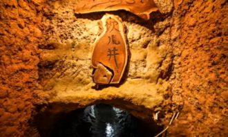 三． 新疆奇台硅化木—恐龙国家地质公园：探寻史前生命的痕迹
