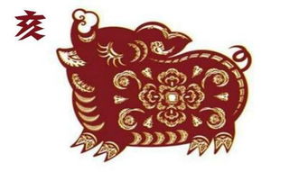 十二生肖今日财运排行图，哪个生肖财运最旺？