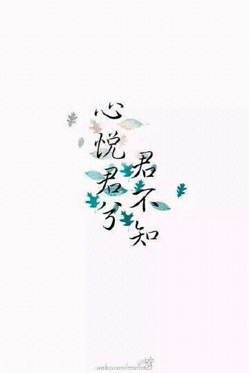 1.1 古诗文的“颜值”效应